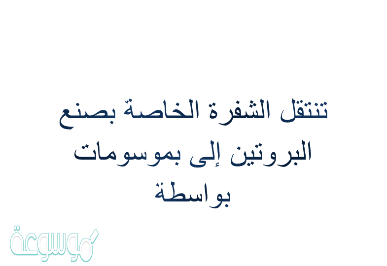 تنتقل الشفرة الخاصة بصنع البروتين إلى الرايبوسومات بواسطة