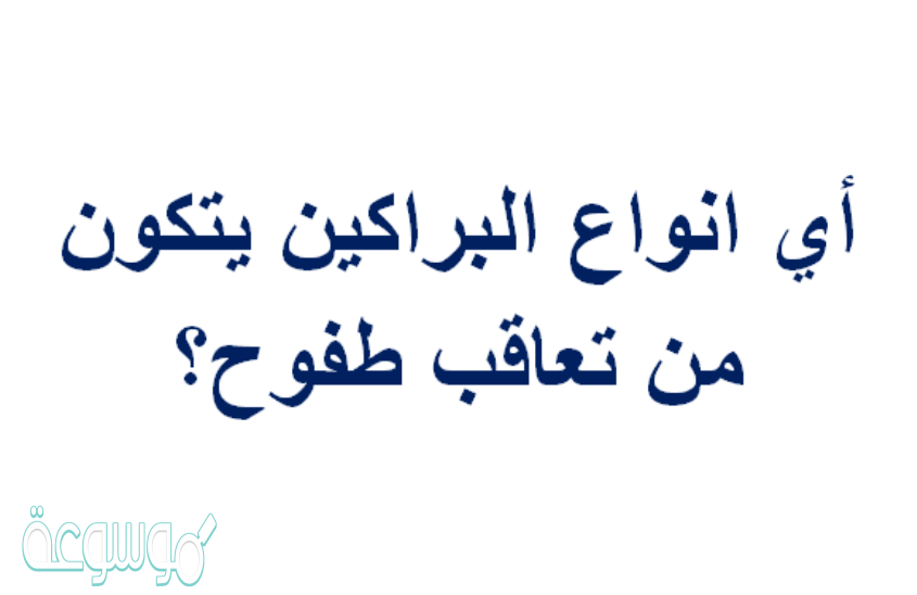 أي انواع البراكين يتكون من تعاقب طفوح؟