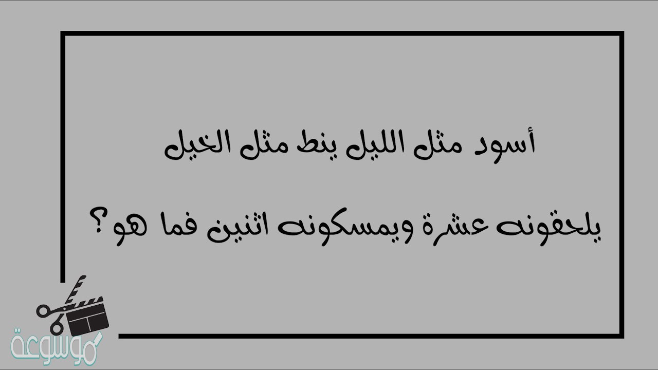 اسود من الليل واسرع من الخيل