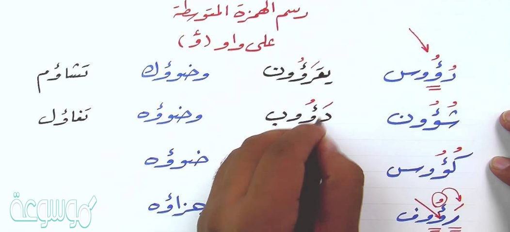 كلمات بها همزة متوسطة على واو