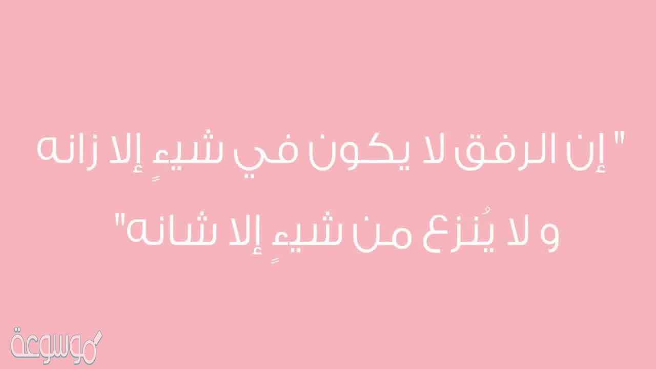 كلمة عن الرفق مختصرة ومؤثرة