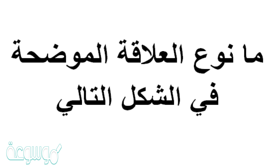 ما نوع العلاقة الموضحة في الشكل التالي