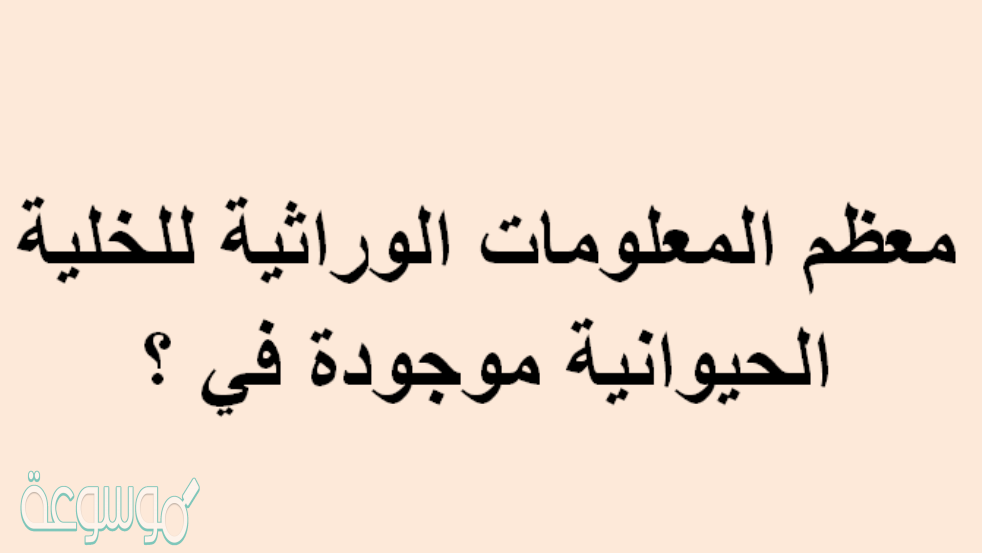 معظم المعلومات الوراثية للخلية الحيوانية موجودة في ؟