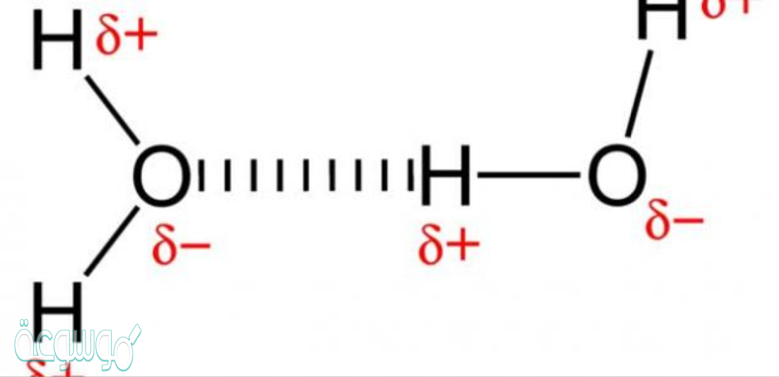 فسر وجود الجزيئات القطبية، وعدم وجود المركبات الأيونية القطبية