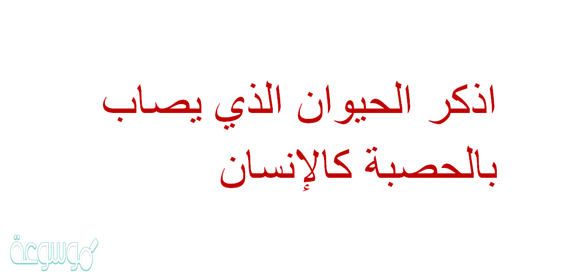 اذكر الحيوان الذي يصاب بالحصبة كالإنسان