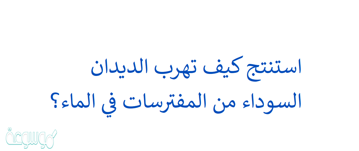 استنتج كيف تهرب الديدان السوداء من المفترسات في الماء؟