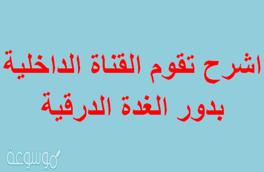 اشرح تقوم القناة الداخلية بدور الغدة الدرقية