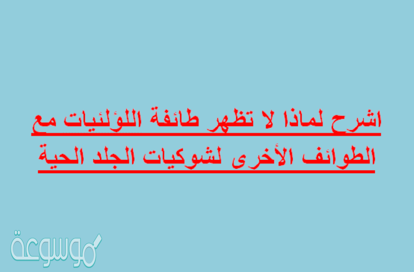 اشرح لماذا لا تظهر طائفة اللؤلئيات مع الطوائف الأخرى لشوكيات الجلد الحية؟