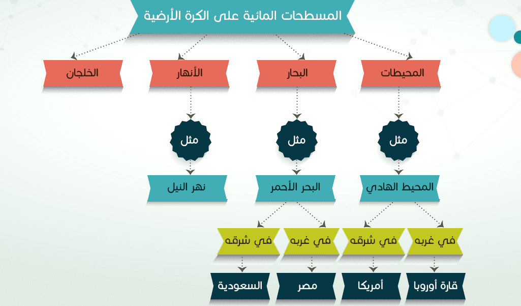 تندرج خارطة المفاهيم تحت رسوم التصنيف