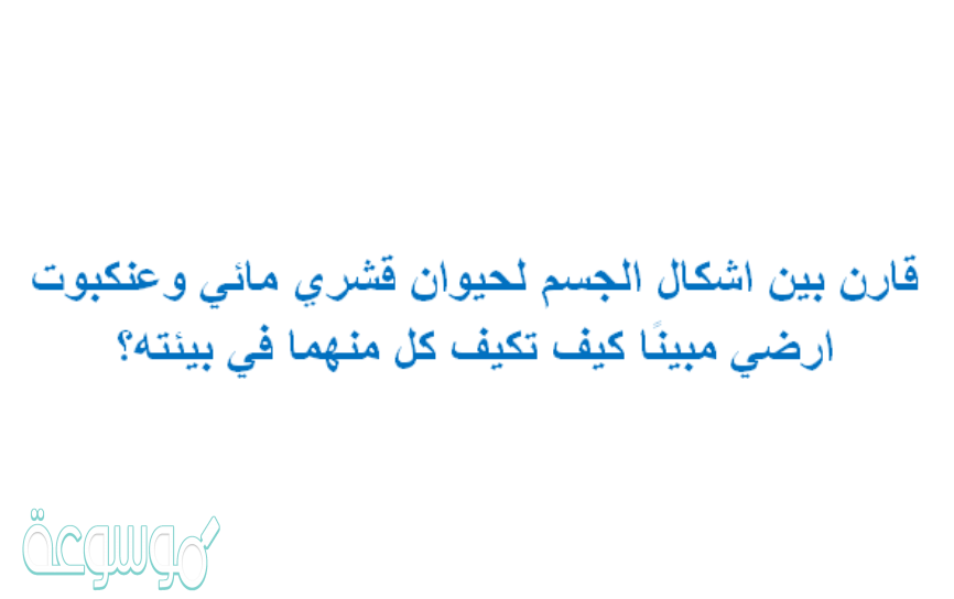 قارن بين اشكال الجسم لحيوان قشري مائي وعنكبوت ارضي مبينًا كيف تكيف كل منهما في بيئته؟