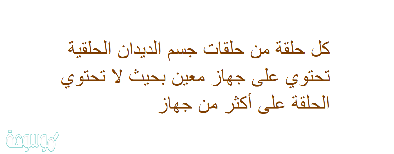 كل حلقة من حلقات جسم الديدان الحلقية تحتوي على جهاز معين بحيث لا تحتوي الحلقة على أكثر من جهاز