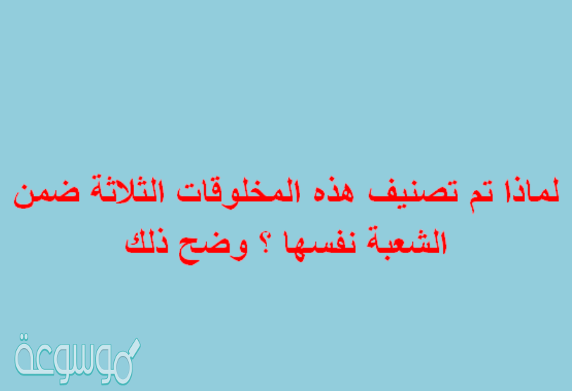 لماذا تم تصنيف هذه المخلوقات الثلاثة ضمن الشعبة نفسها ؟ وضح ذلك