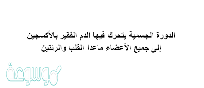 الدورة الجسمية يتحرك فيها الدم الفقير بالأكسجين إلى جميع الأعضاء ماعدا القلب والرئتين.