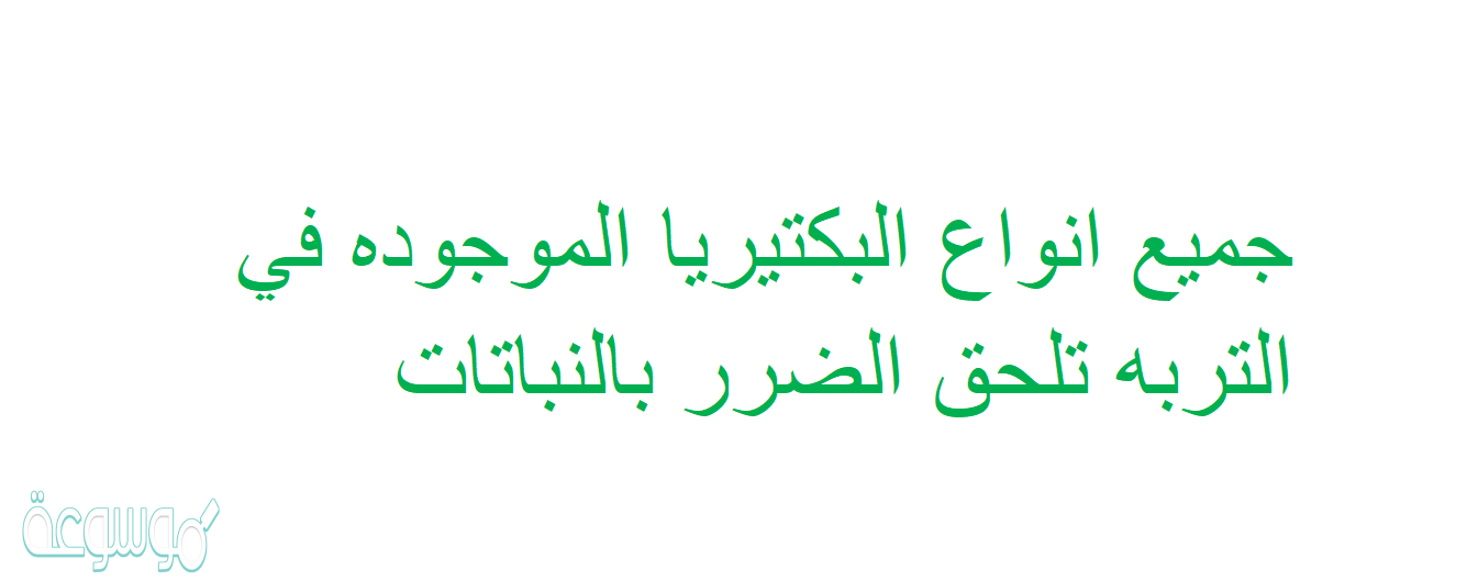 جميع انواع البكتيريا الموجوده في التربه تلحق الضرر بالنباتات