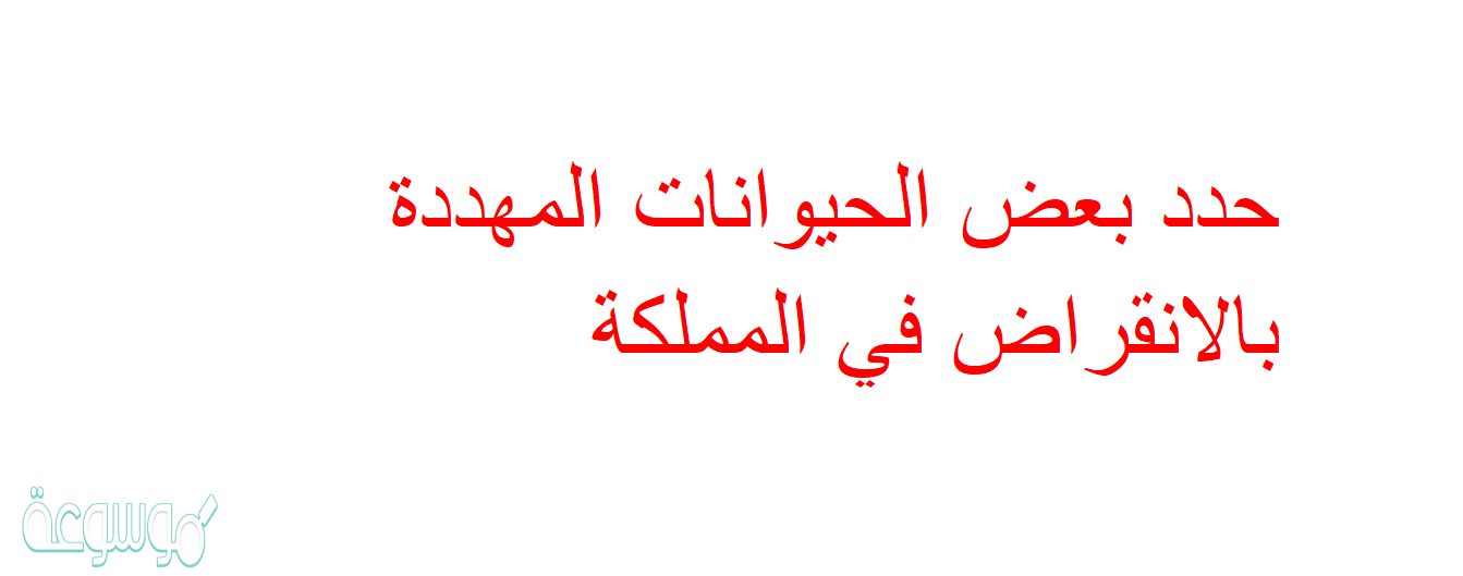 حدد بعض الحيوانات المهددة بالانقراض في المملكة