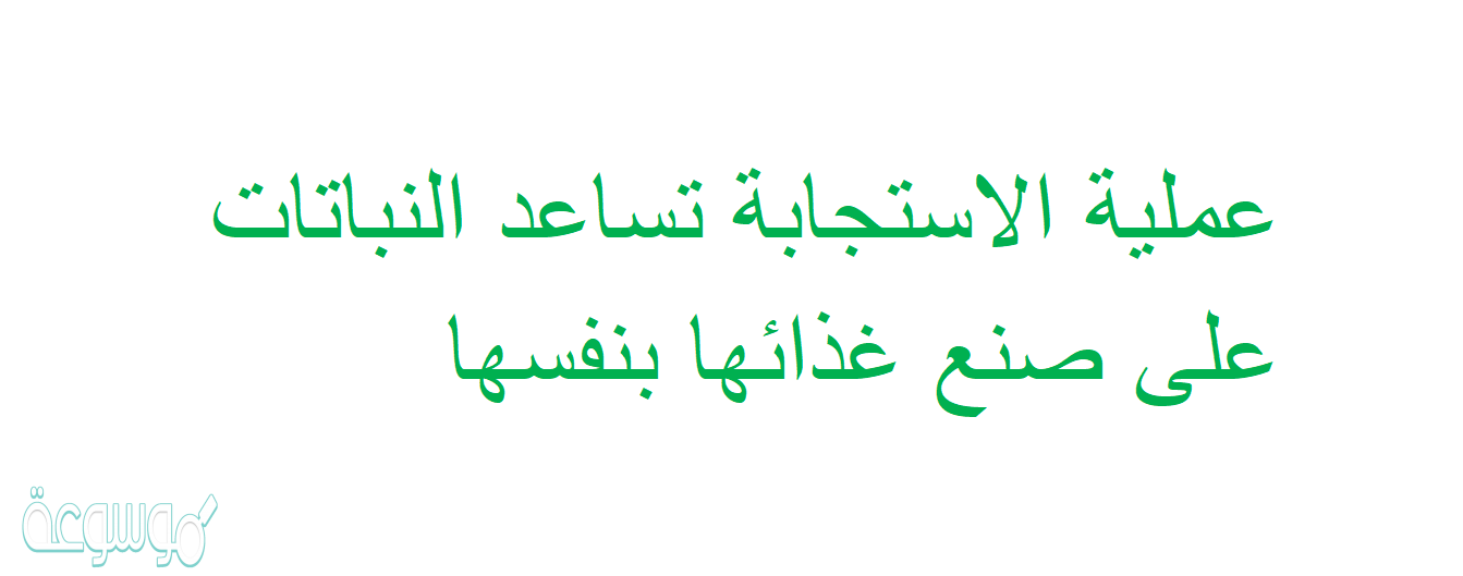 عملية الاستجابة تساعد النباتات على صنع غذائها بنفسها