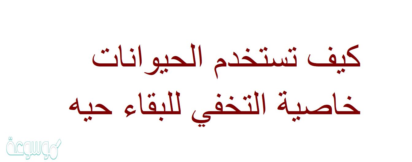 كيف تستخدم الحيوانات خاصية التخفي للبقاء حيه