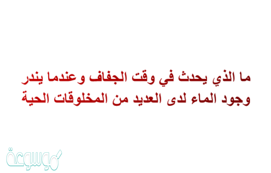 ما الذي يحدث في وقت الجفاف وعندما يندر وجود الماء لدى العديد من المخلوقات الحية