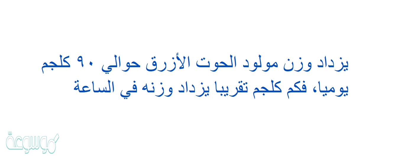 يزداد وزن مولود الحوت الأزرق حوالي ٩٠ كلجم يوميا، فكم كلجم تقريبا يزداد وزنه في الساعة