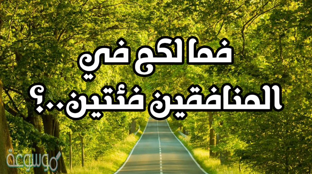 هناك شبه بين ذي الوجهين والمنافقين وضح ذلك