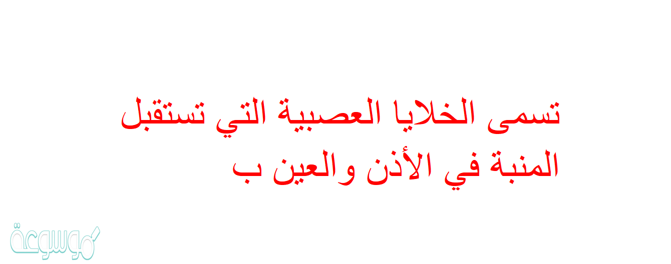 تسمى الخلايا العصبية التي تستقبل المنبة في الأذن والعين ب