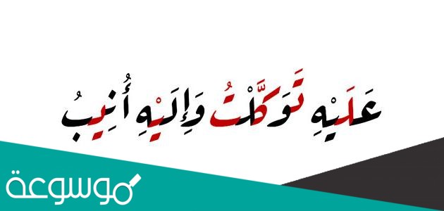 حرف الطاء يكون جسمه الأصلي