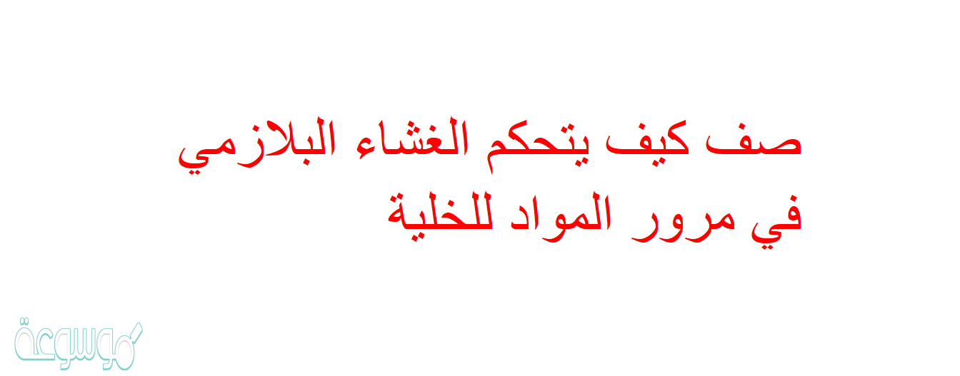 صف كيف يتحكم الغشاء البلازمي في مرور المواد للخلية