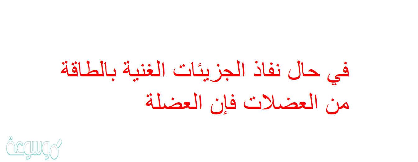 في حال نفاذ الجزيئات الغنية بالطاقة من العضلات فإن العضلة