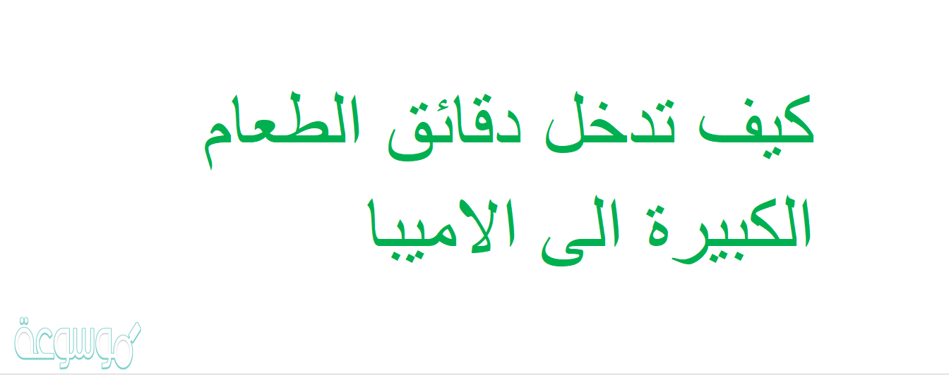 كيف تدخل دقائق الطعام الكبيرة الى الاميبا