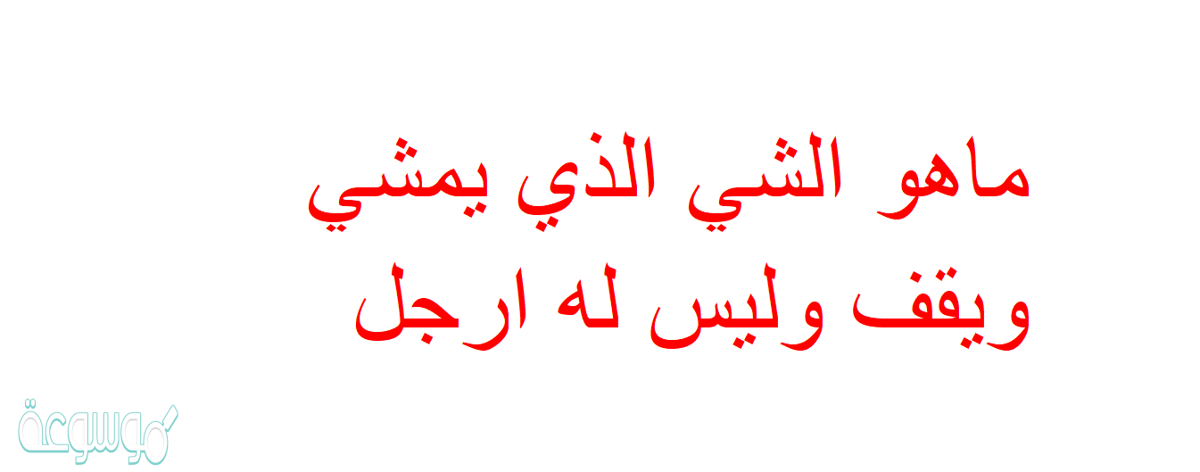 ماهو الشي الذي يمشي ويقف وليس له ارجل