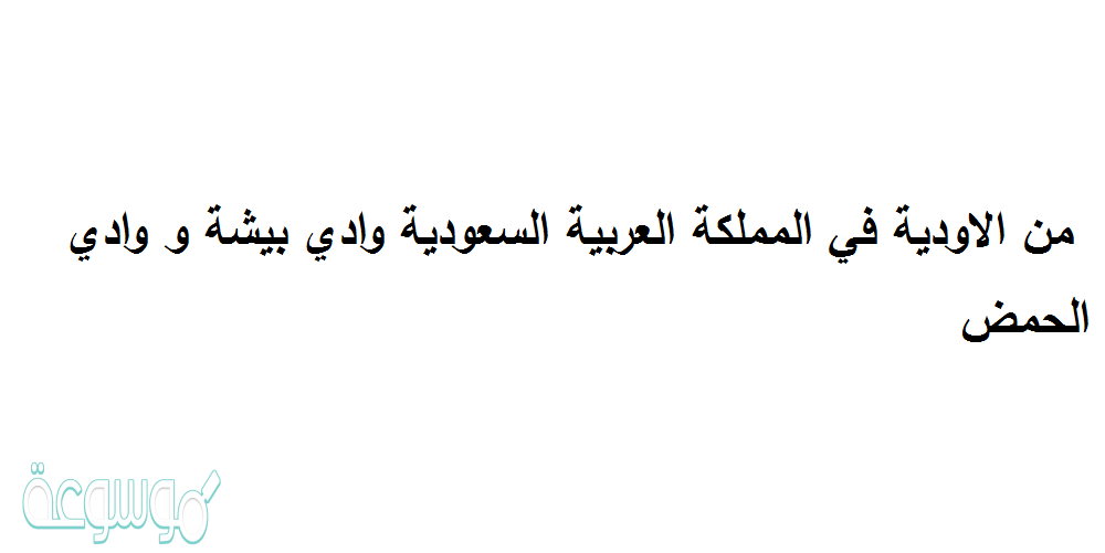 من الاودية في المملكة العربية السعودية وادي بيشة و وادي الحمض