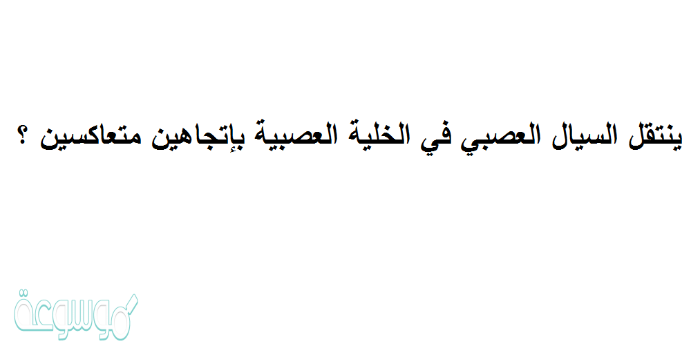 ينتقل السيال العصبي في الخلية العصبية بإتجاهين متعاكسين ؟