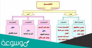 المفاعيل هي متممات لمعنى