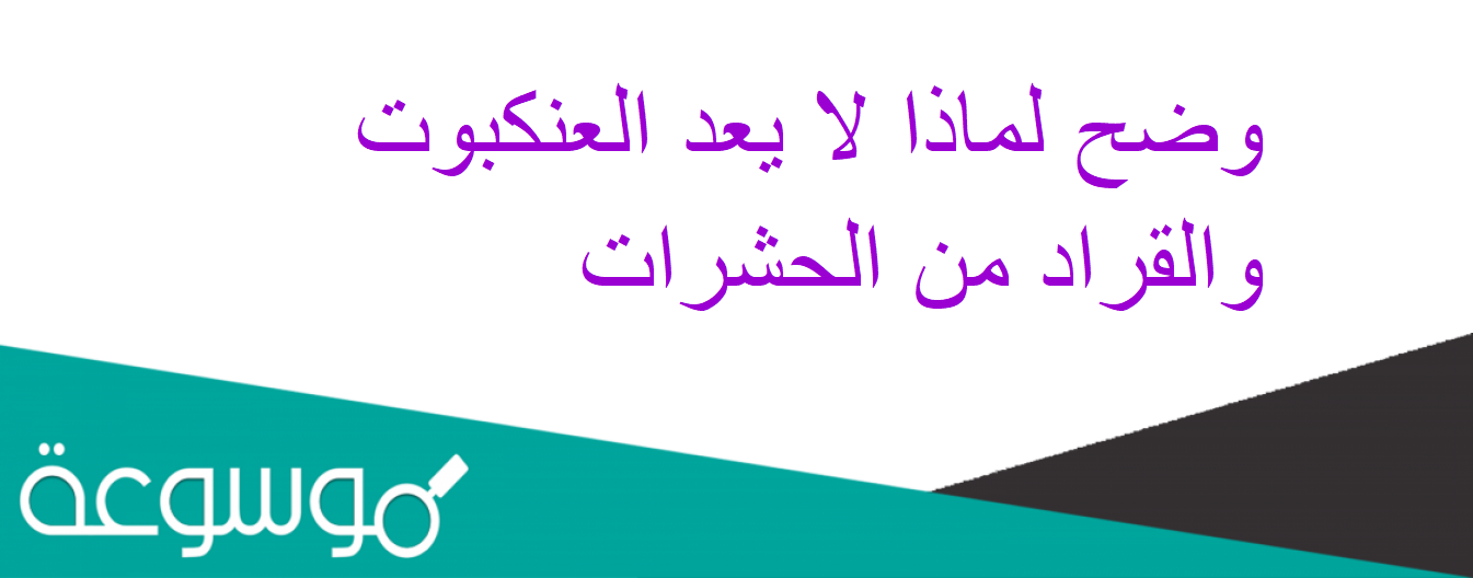 وضح لماذا لا يعد العنكبوت والقراد من الحشرات