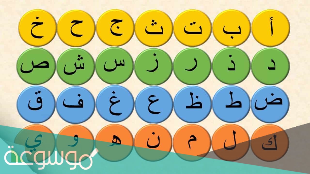 كم عدد المقاطع الصوتية في اللغة العربية