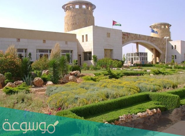 رابط التسجيل فى جامعة العلوم والتكنولوجيا