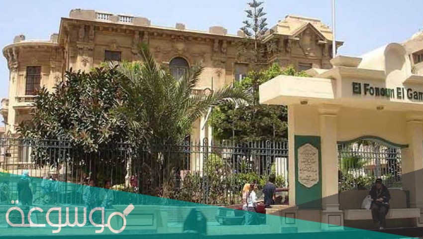 ما هي كليات الأدبي ومجموعها 2021 مصر