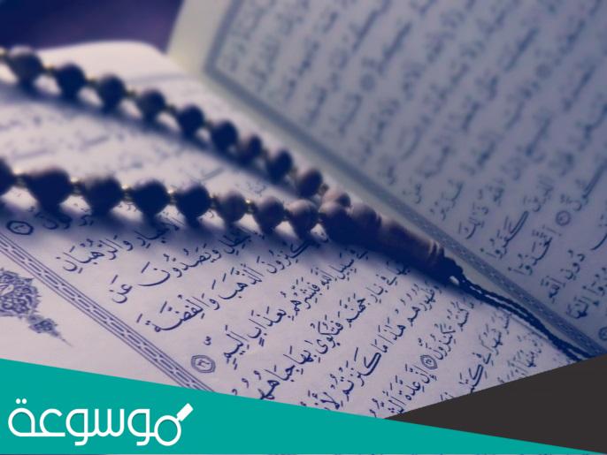 الأسباب والمسببات في القرآن الكريم