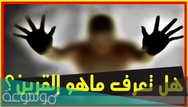 أهم المعلومات عن قرين الأنثى