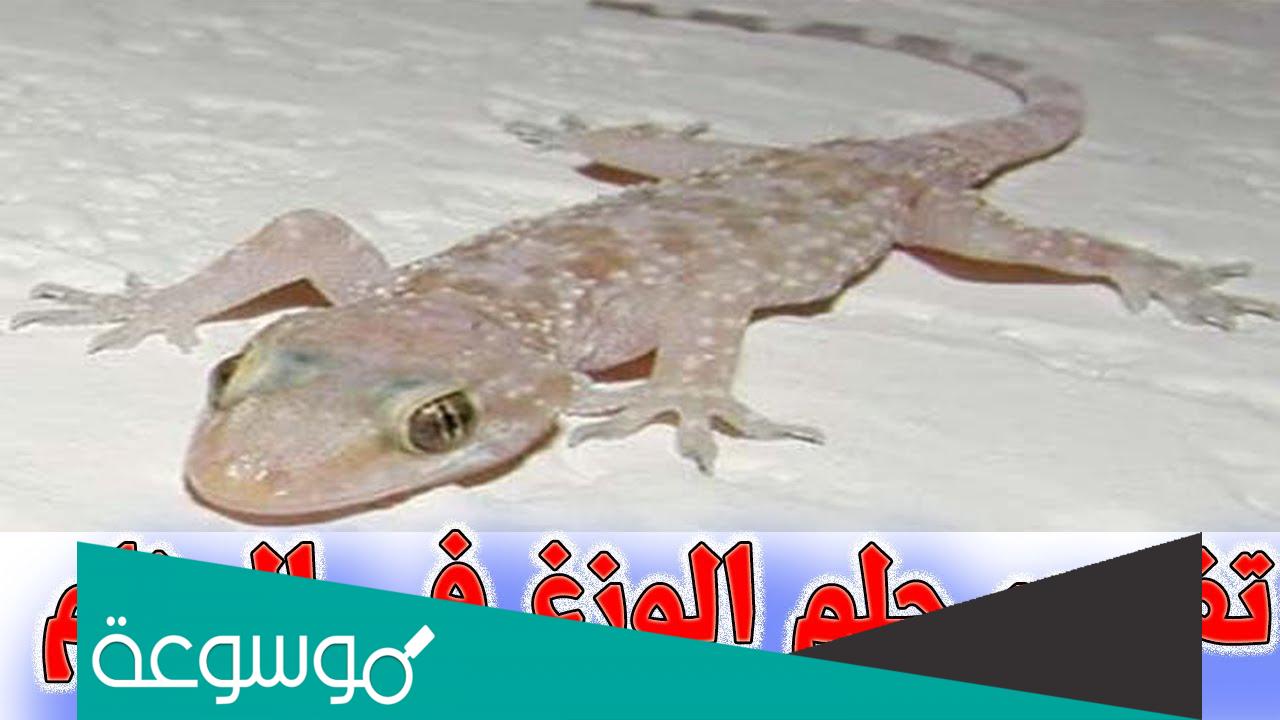 تفسير رؤية قتل الوزغ في المنام حسب تفسير ابن سيرين