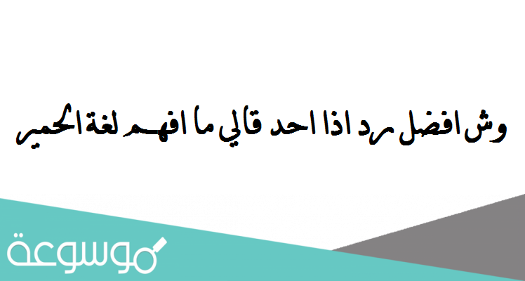 وش افضل رد اذا احد قالي ما افهم لغة الحمير