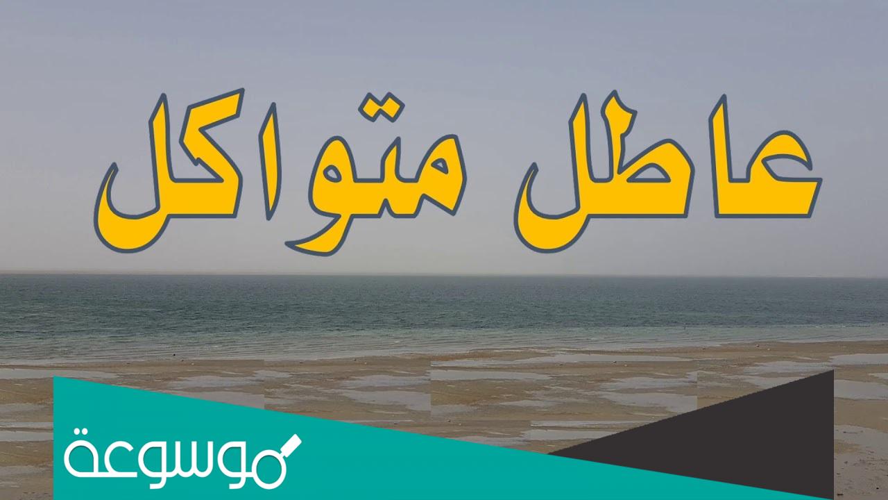 شرح قصيدة عاطل متواكل