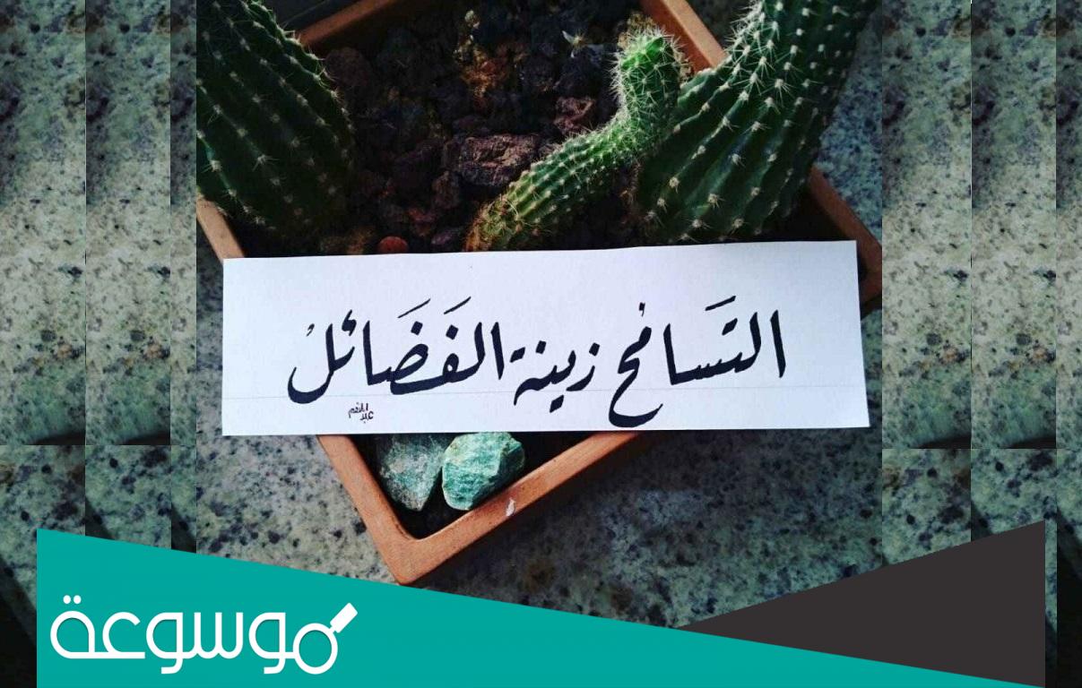 عبارات عن التسامح للواتس كلام عن التسامح والاعتذار