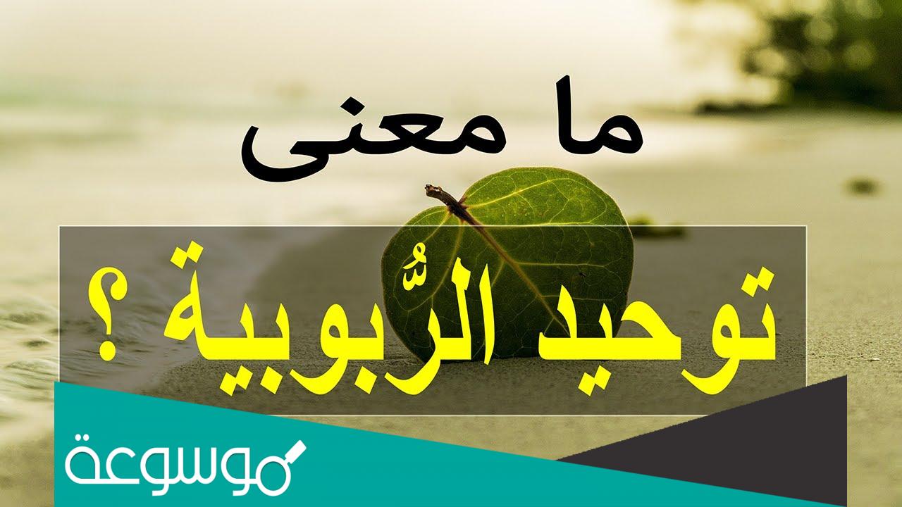 اقر مشركي العرب بتوحيد الربوبيه