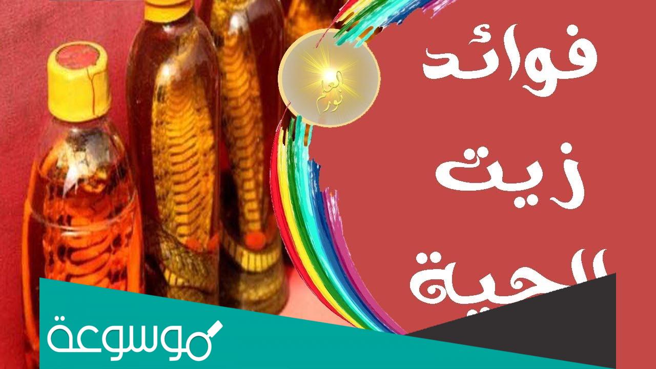 تجارب زيت الحية للشعر وأهميته