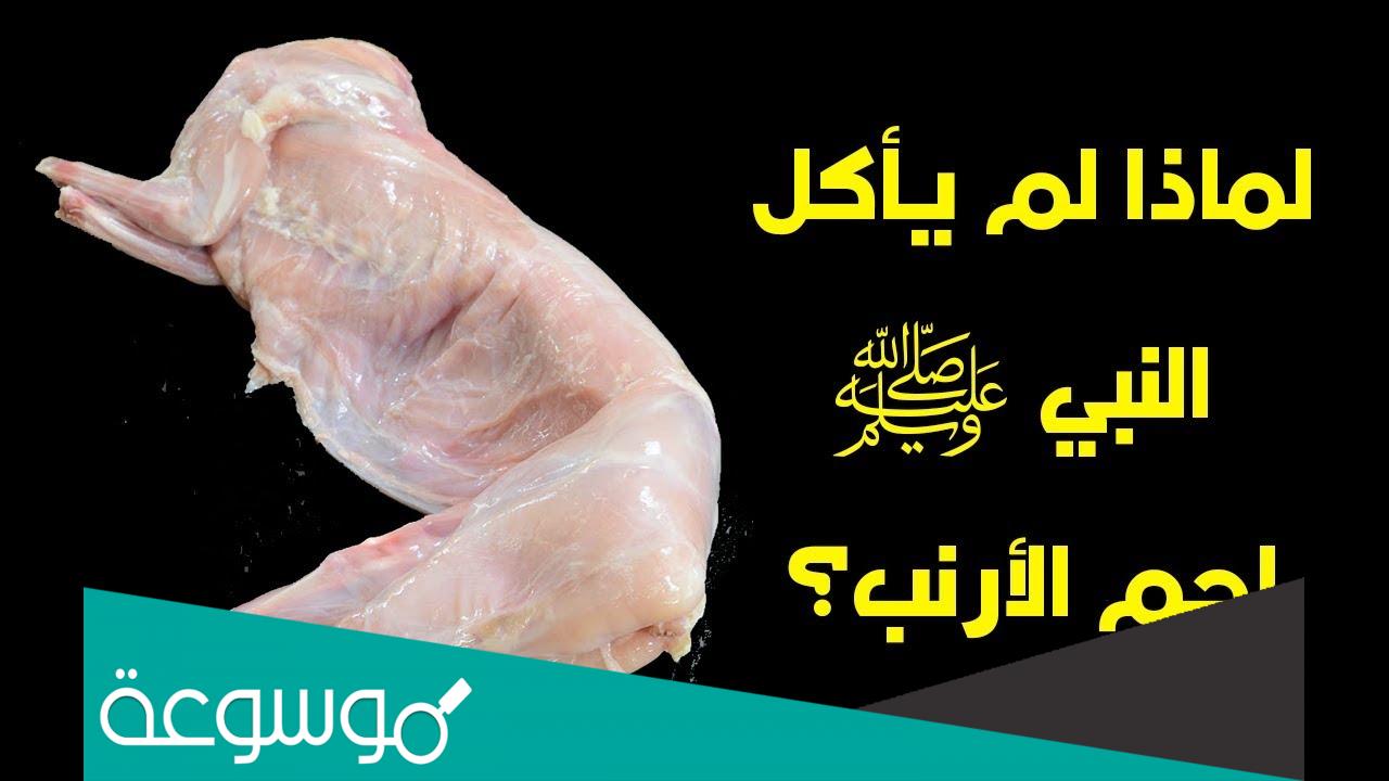 لماذا رفض النبي اكل لحم الارنب