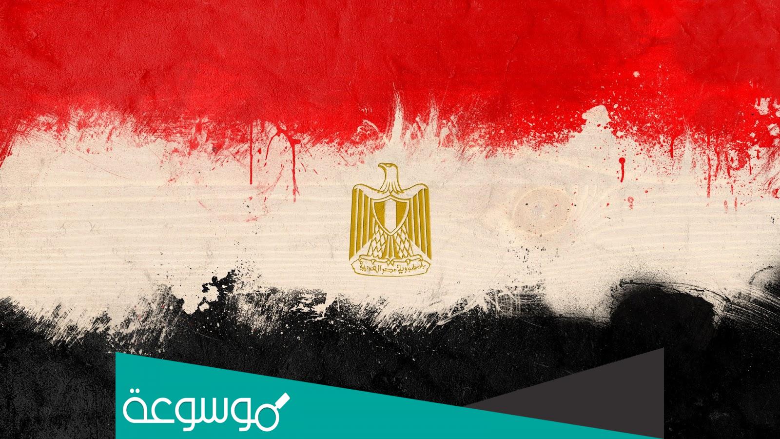 تعبير عن حب مصر وواجبنا نحوها 2022