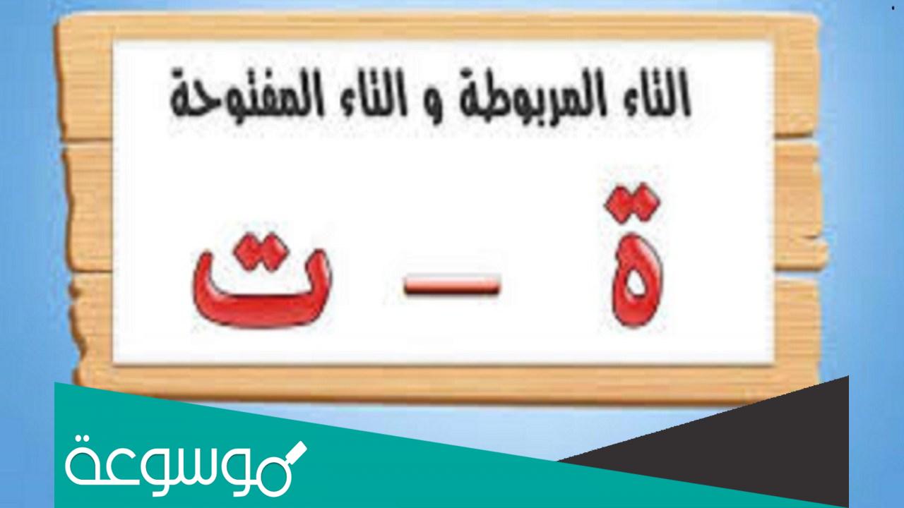 كلمات تنتهي بحرف التاء المربوطة