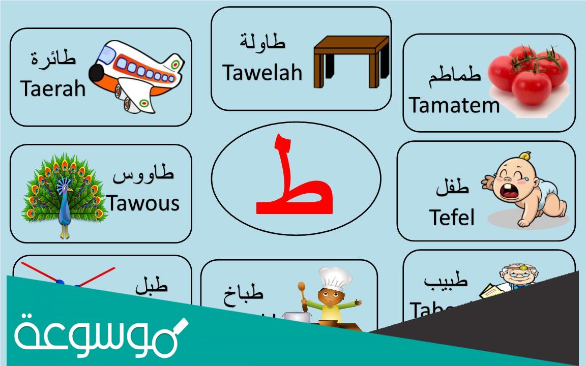 بلاد بحرف الطاء: اكتشافات وأسئلة شائعة