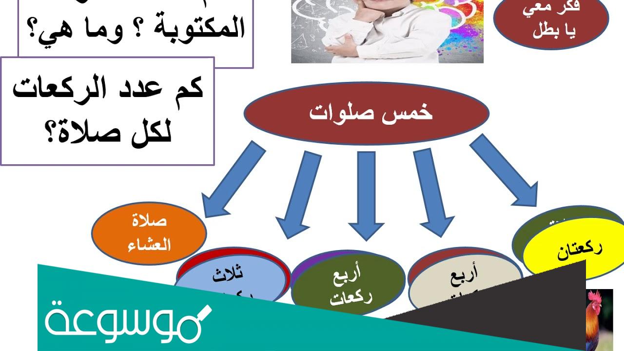 كم عدد الركعات لجميع الصلوات المكتوبة